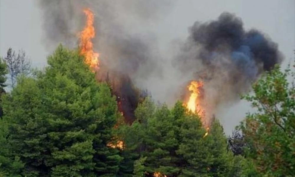 Φωτιά καίει Χορτολιβαδική έκταση στην Ελασσόνα Λάρισας